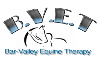 BAR VALLEY EQUINE THERAPY